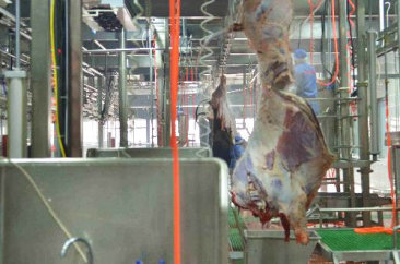 南宫NG·28(中国)相信品牌力量,南宫28娱乐相信品牌的力量,NG28相信品牌的力量食品 南宫NG·28(中国)相信品牌力量,南宫28娱乐相信品牌的力量,NG28相信品牌的力量食品